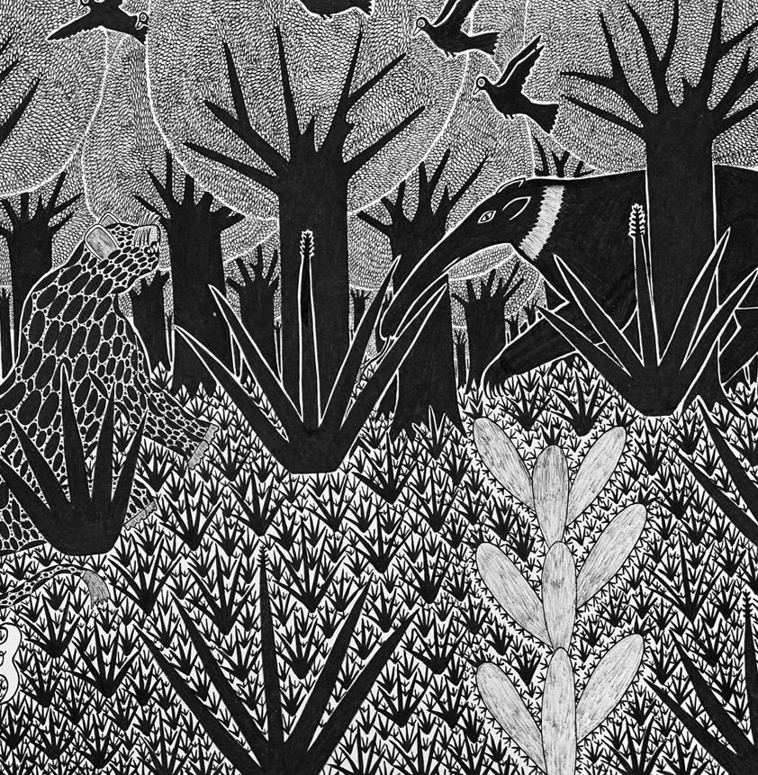 Paraguayan Ink Drawings from the Chaco #4,  Paper, Indigenous Artists, Rare - Black Landscape Art by Efacio Alvarez