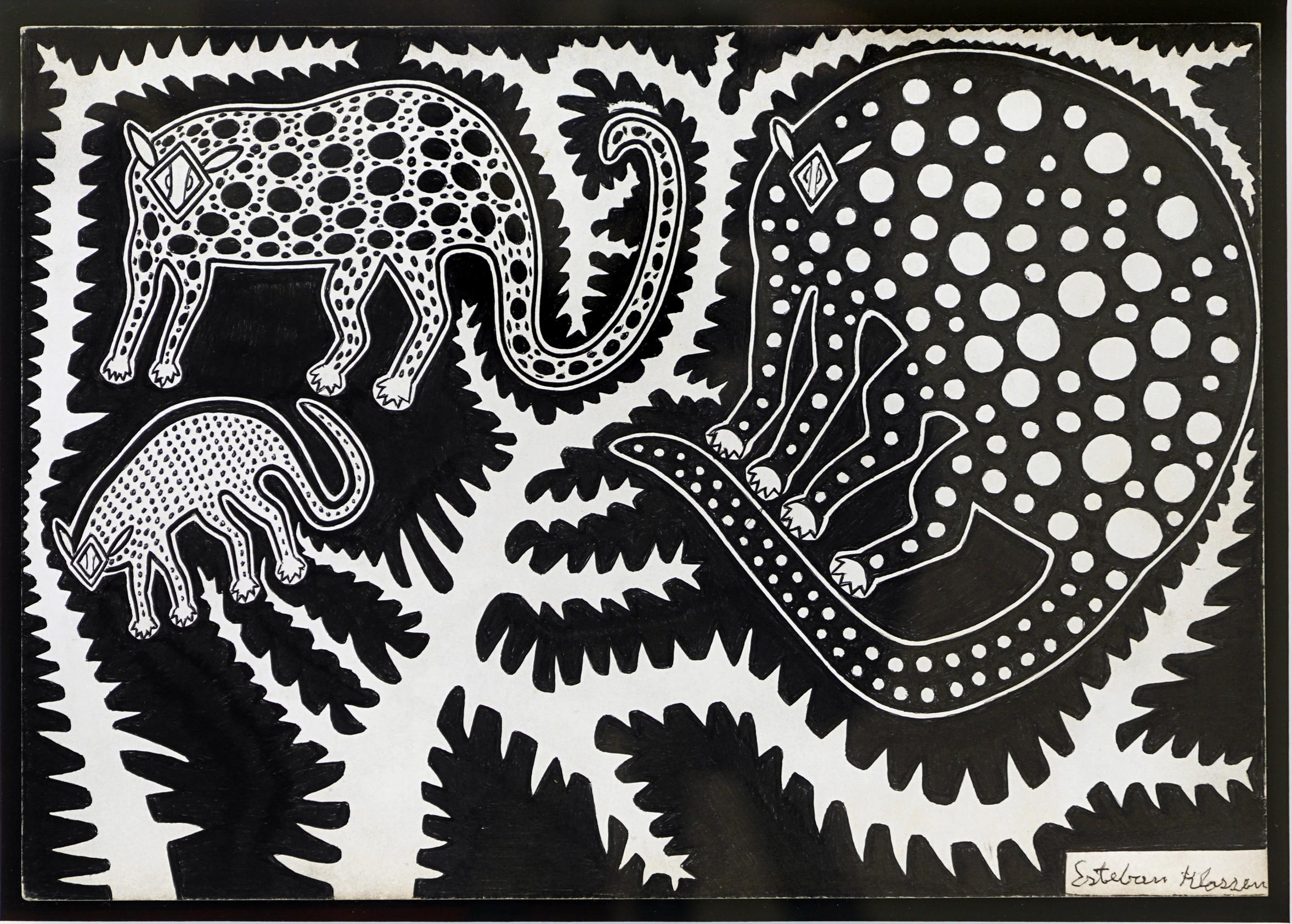 Paraguayanische Tuschezeichnungen aus dem Chaco #10 Papiertinte des indigenen E. Klassen (Volkskunst), Art, von Esteban Klassen