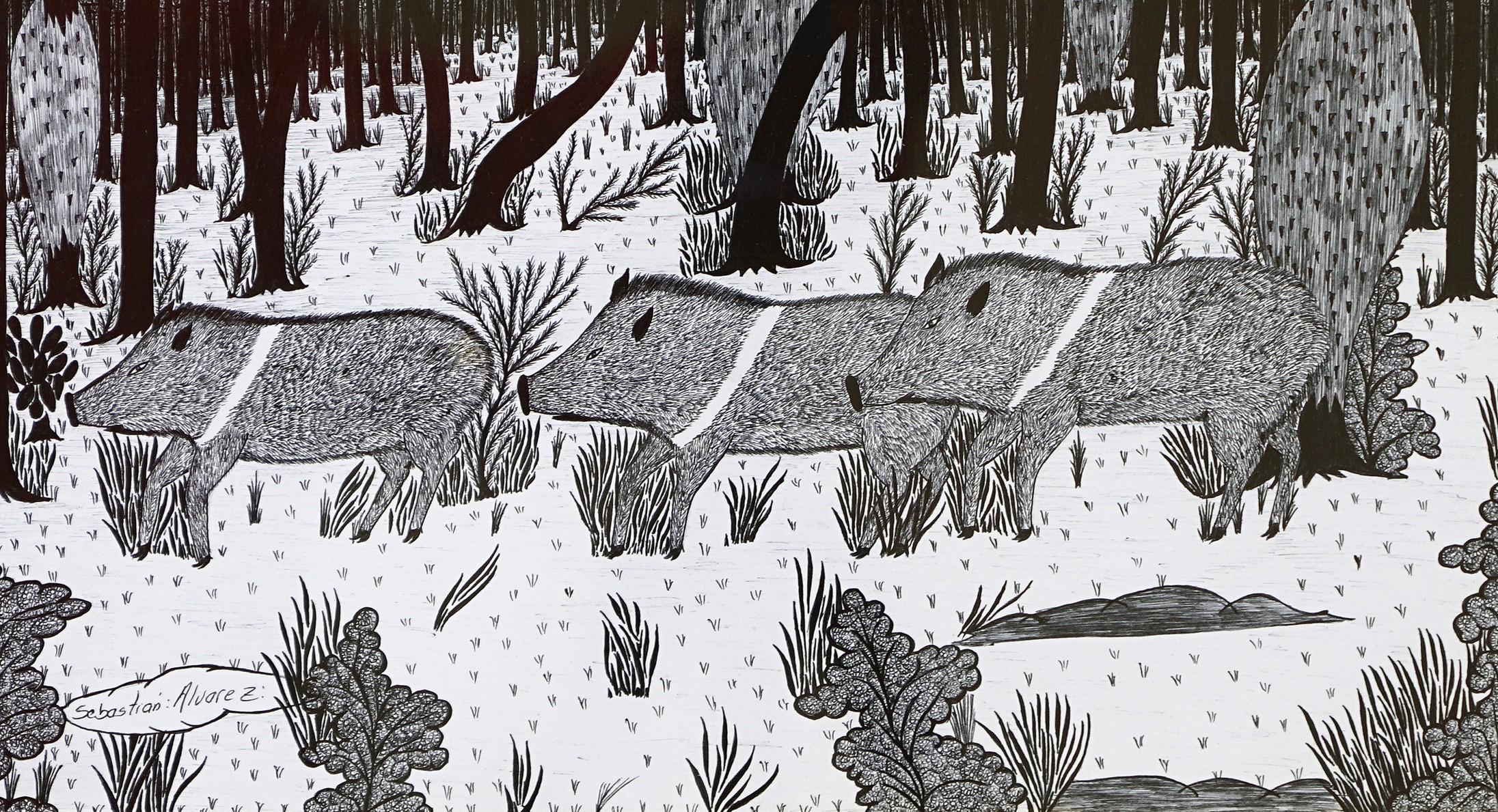 Dessins d'encre du Chaco #14 indigène Sebastian Alvarez en vente 4