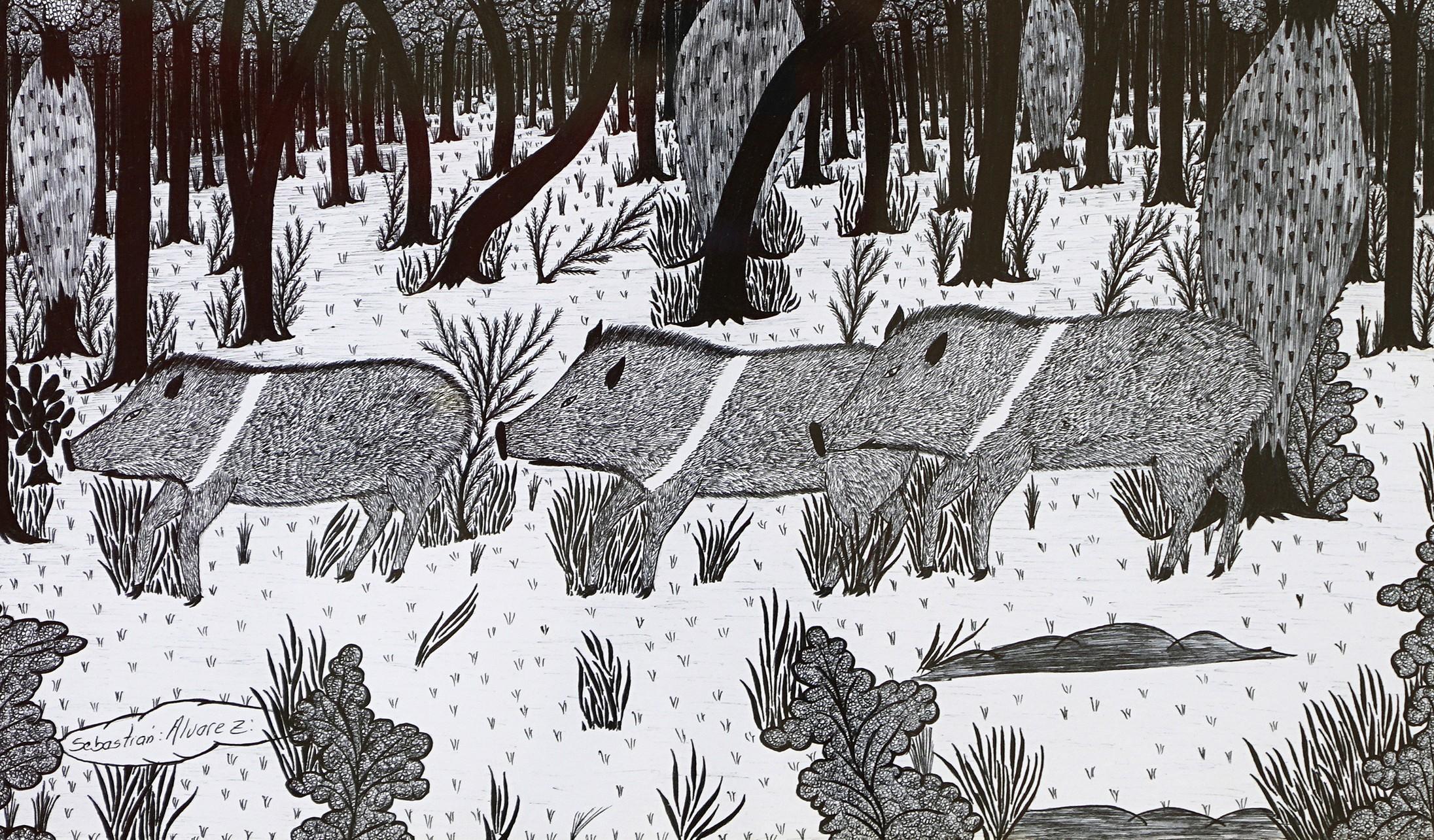 Dessins d'encre du Chaco #14 indigène Sebastian Alvarez en vente 3