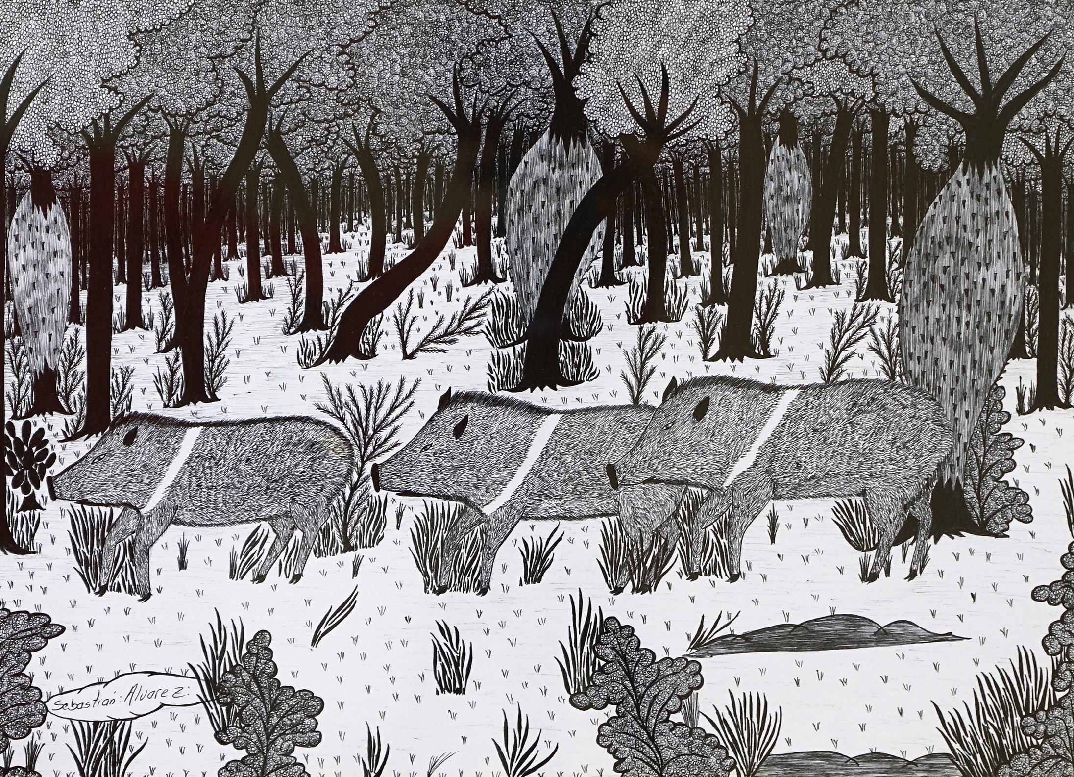 Dessins d'encre du Chaco #14 indigène Sebastian Alvarez en vente 2