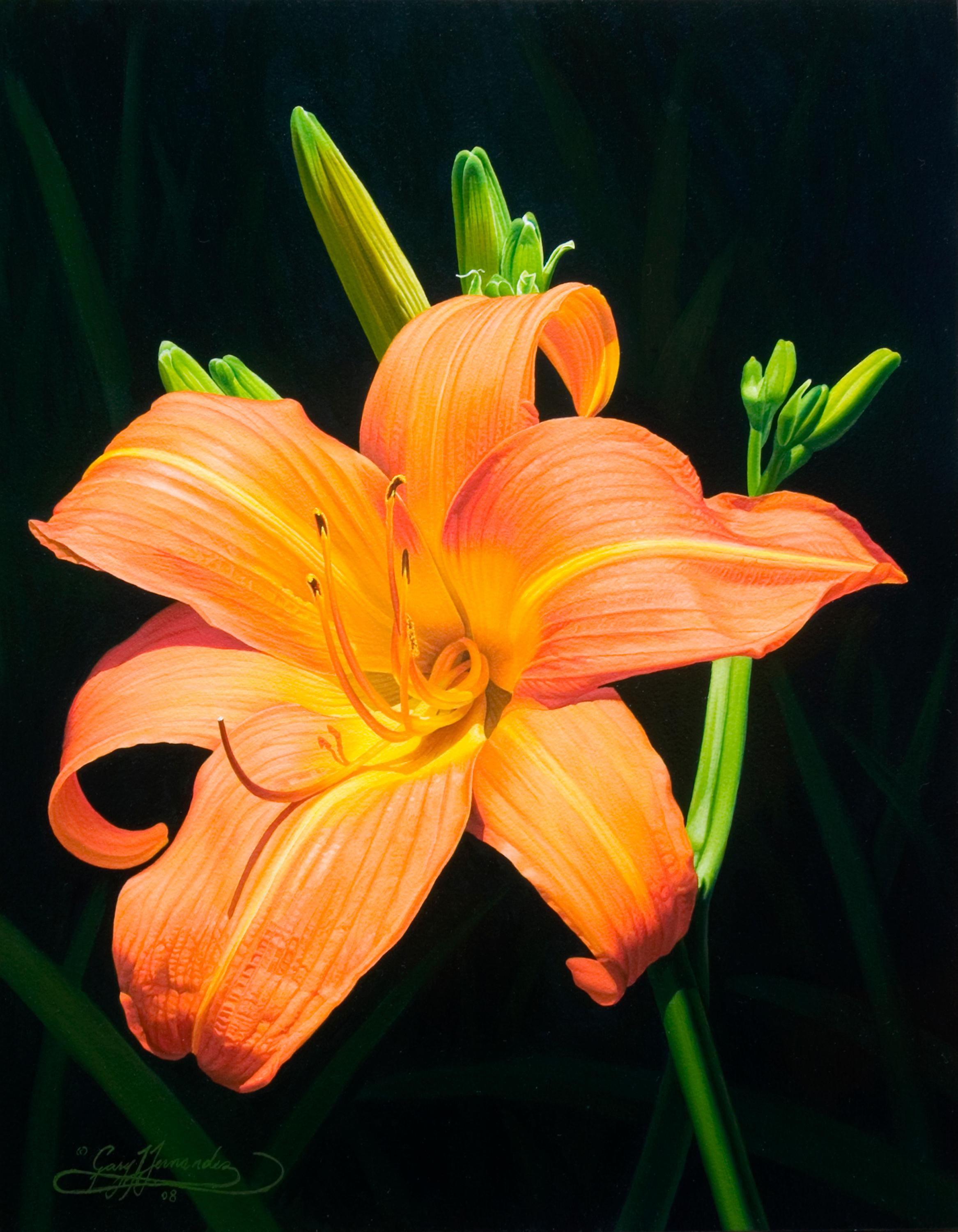 Still-Life Painting di Gary Hernandez - I gigli di Monika Pittore realista americano, pittura floreale, rappresentativa