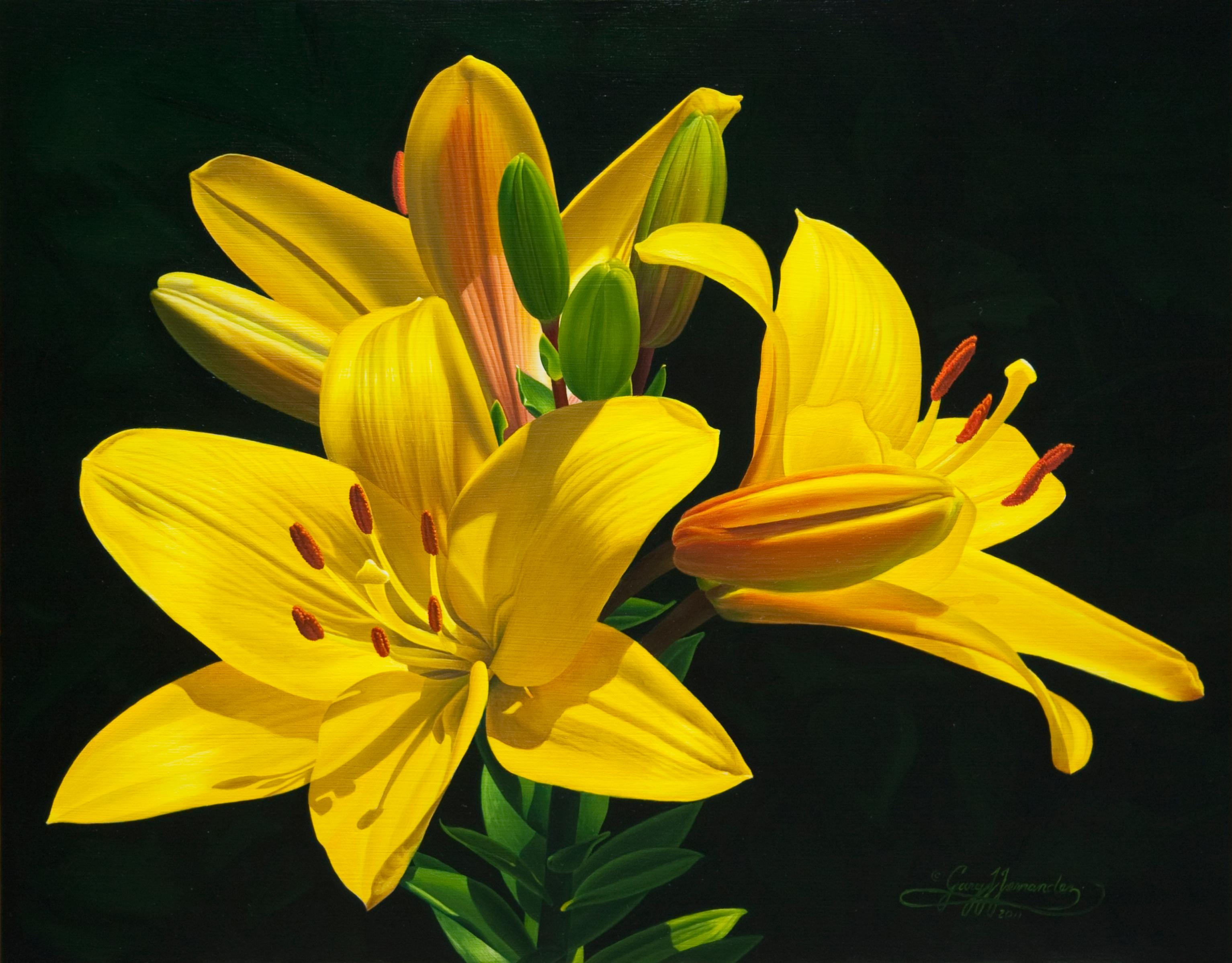 Monika's Lilies American Realist painter, floral painting, Representational - Black Still-Life Painting by Gary Hernandez