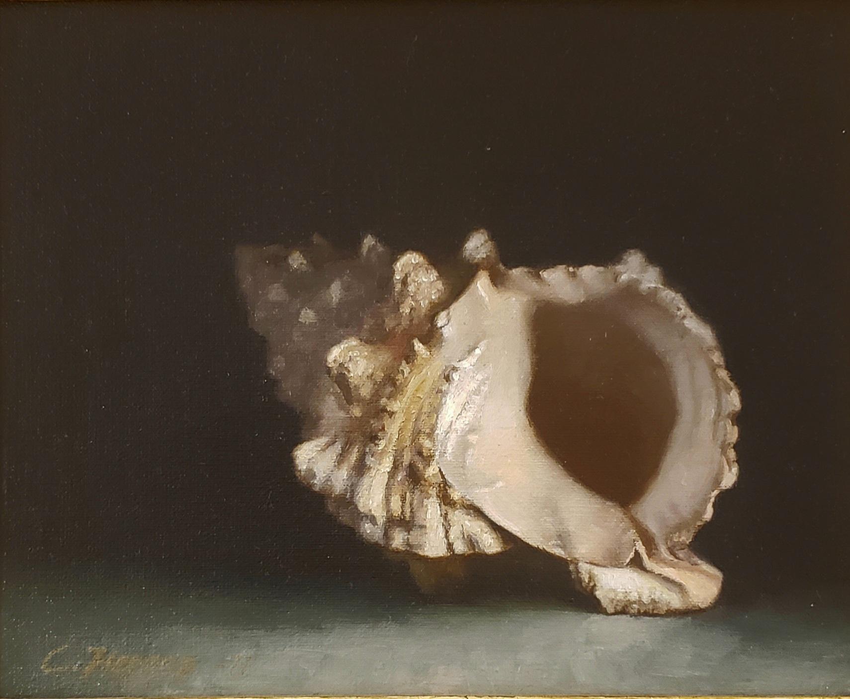 Cornelia Hernes Still-Life Painting - Conch Shell oil painting, in the style of Classical Realism, Norwegian artist