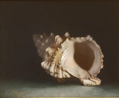 Conch Shell oil painting, in the style of Classical Realism, Norwegian artist