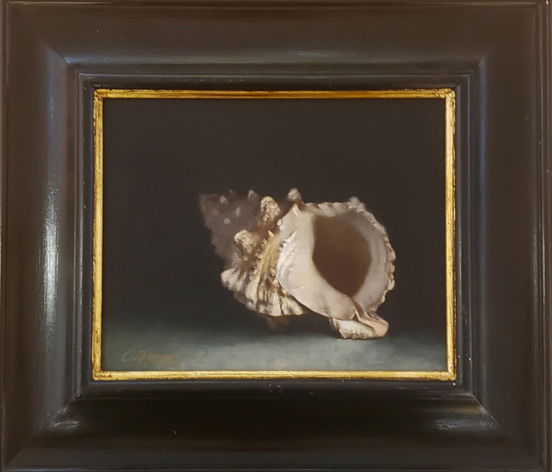 Conch Shell oil painting, in the style of Classical Realism, Norwegian artist - Painting by Cornelia Hernes