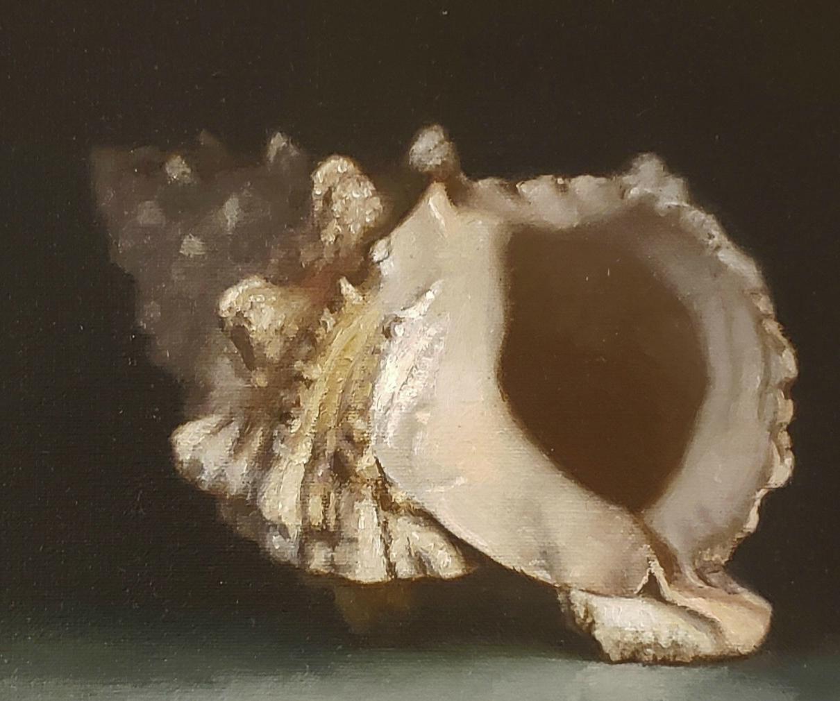 conch shell painting