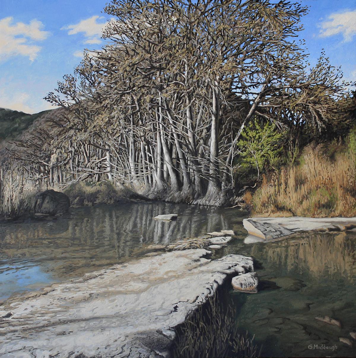 Frio River, oil painting Realism style, Texas Artist