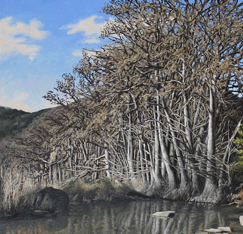 Frio River, oil painting Realism style, Texas Artist - Painting by Garrett Middaugh