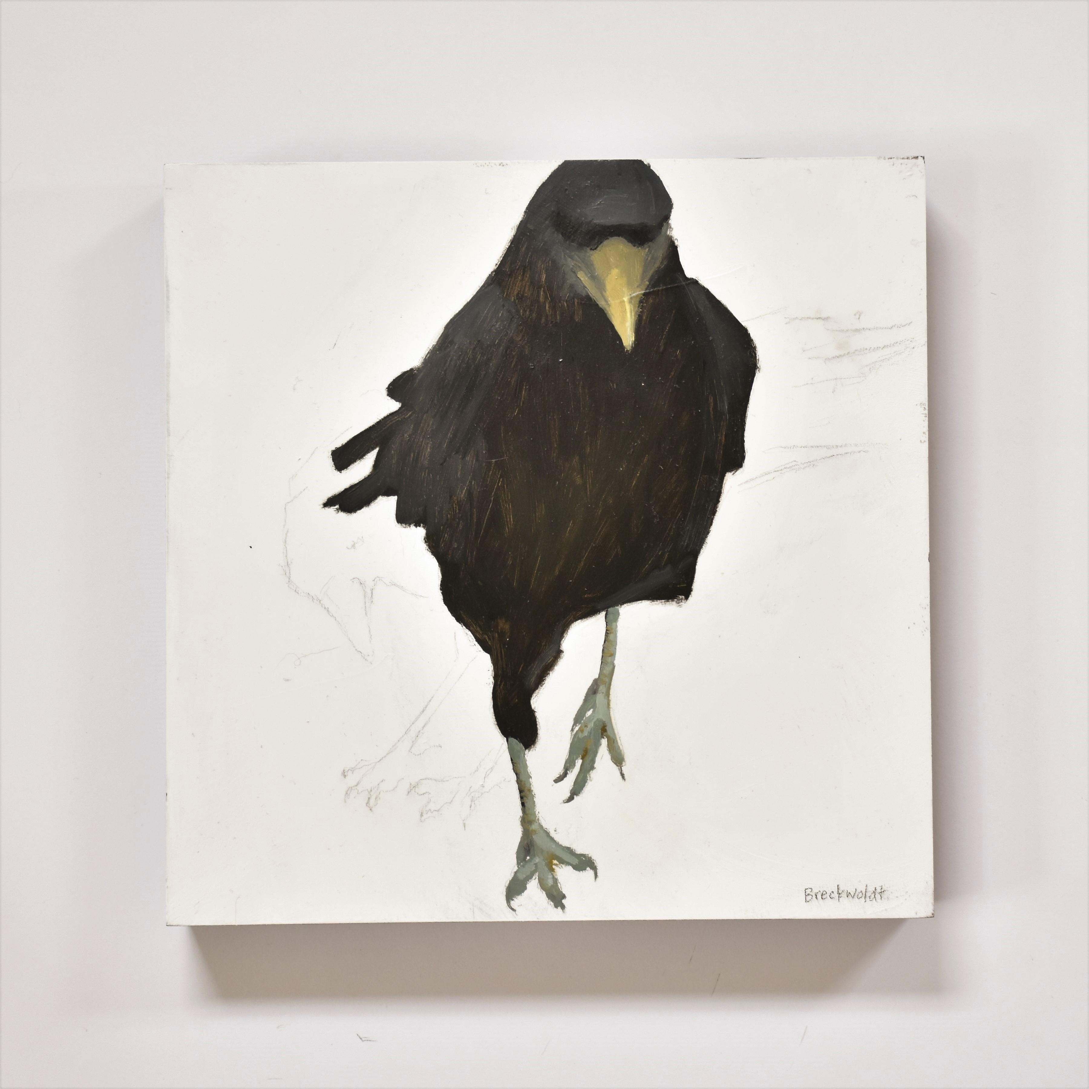 Joan Breckwoldt Animal Painting - Raven 2, Figurative, Texas artist, Women in the Arts,  12 x 12 oil, Birds.