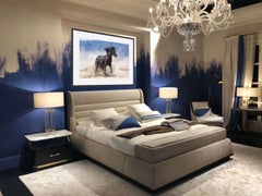 "Stomp" Photograph, Guillermo Avila, Wild American Horse, Mustang Action