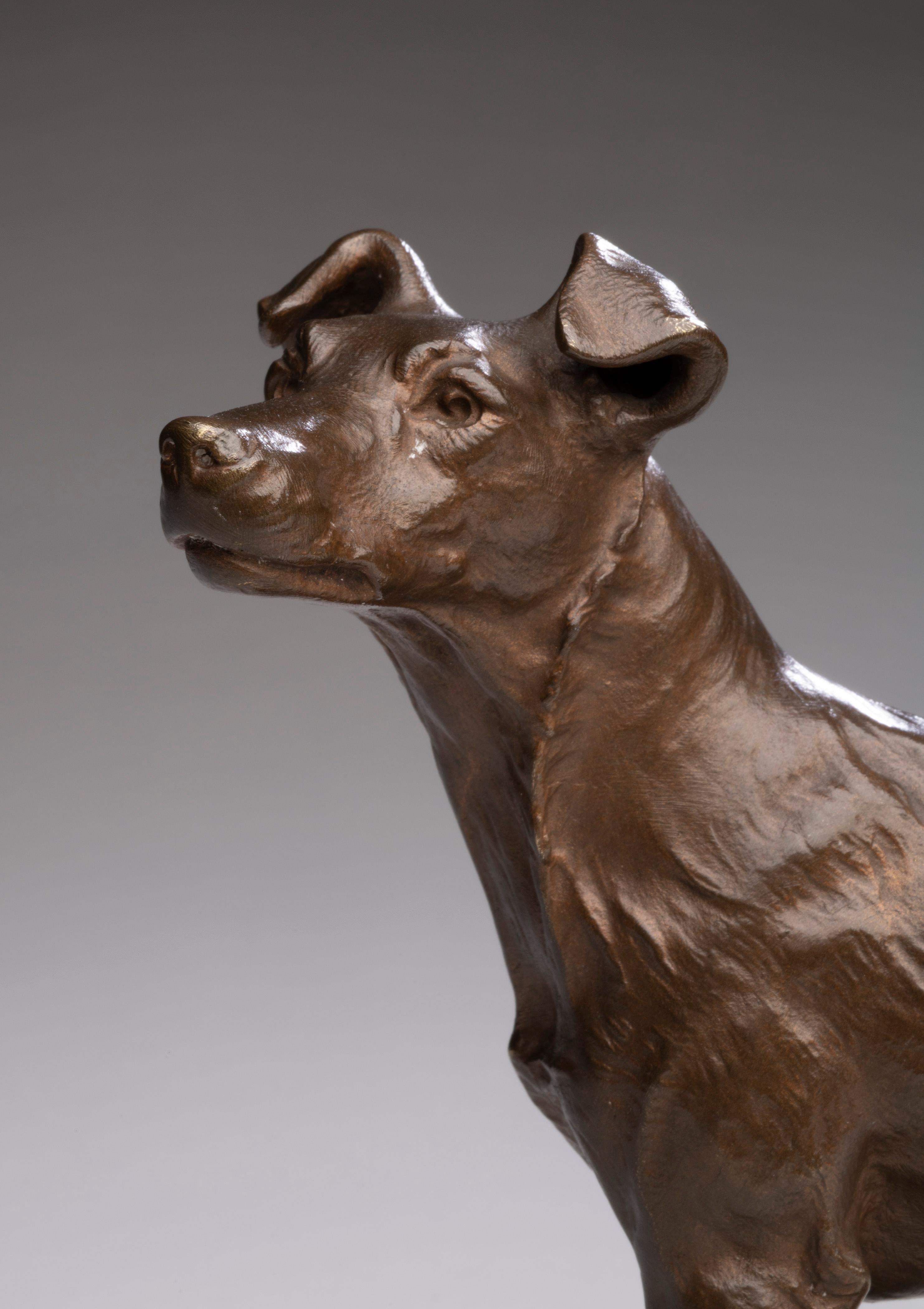 Bronze Dog Portrait of a Terrier by Pierre-Albert Laplanche (French, 1826-1873)