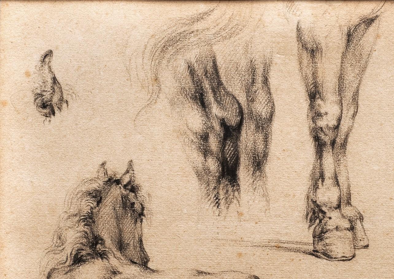 Antique Horse Study; Legs and Rumps, 1838