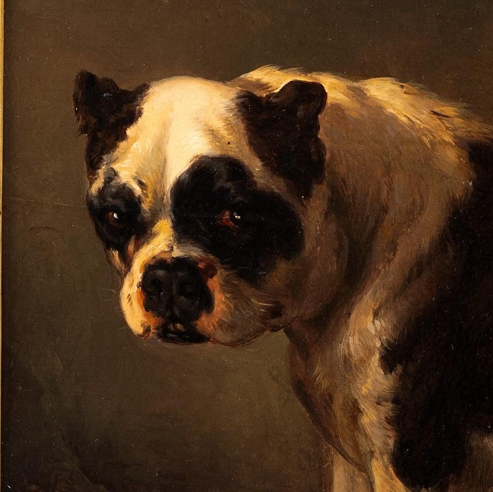 Un Bulldog seduto
Wouterus Verschuur (olandese, 1812-1874)
Circa 1855
Olio su pannello di legno.
Firmato sul retro
9 3/8 x 7 3/8 (15 1/2 x 13 1/2) pollici.

L'artista dimostra di avere una completa padronanza e comprensione del suo soggetto.