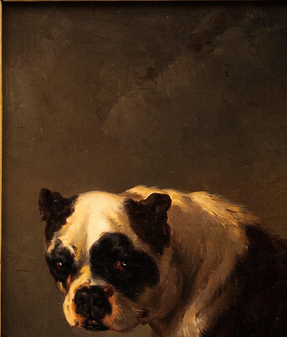 Dipinto antico di cani: 