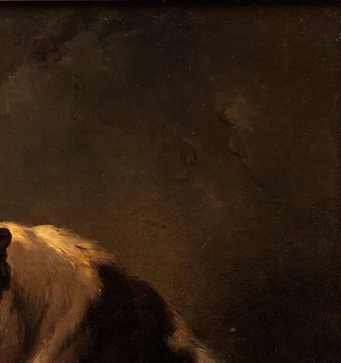 Dipinto antico di cani: 