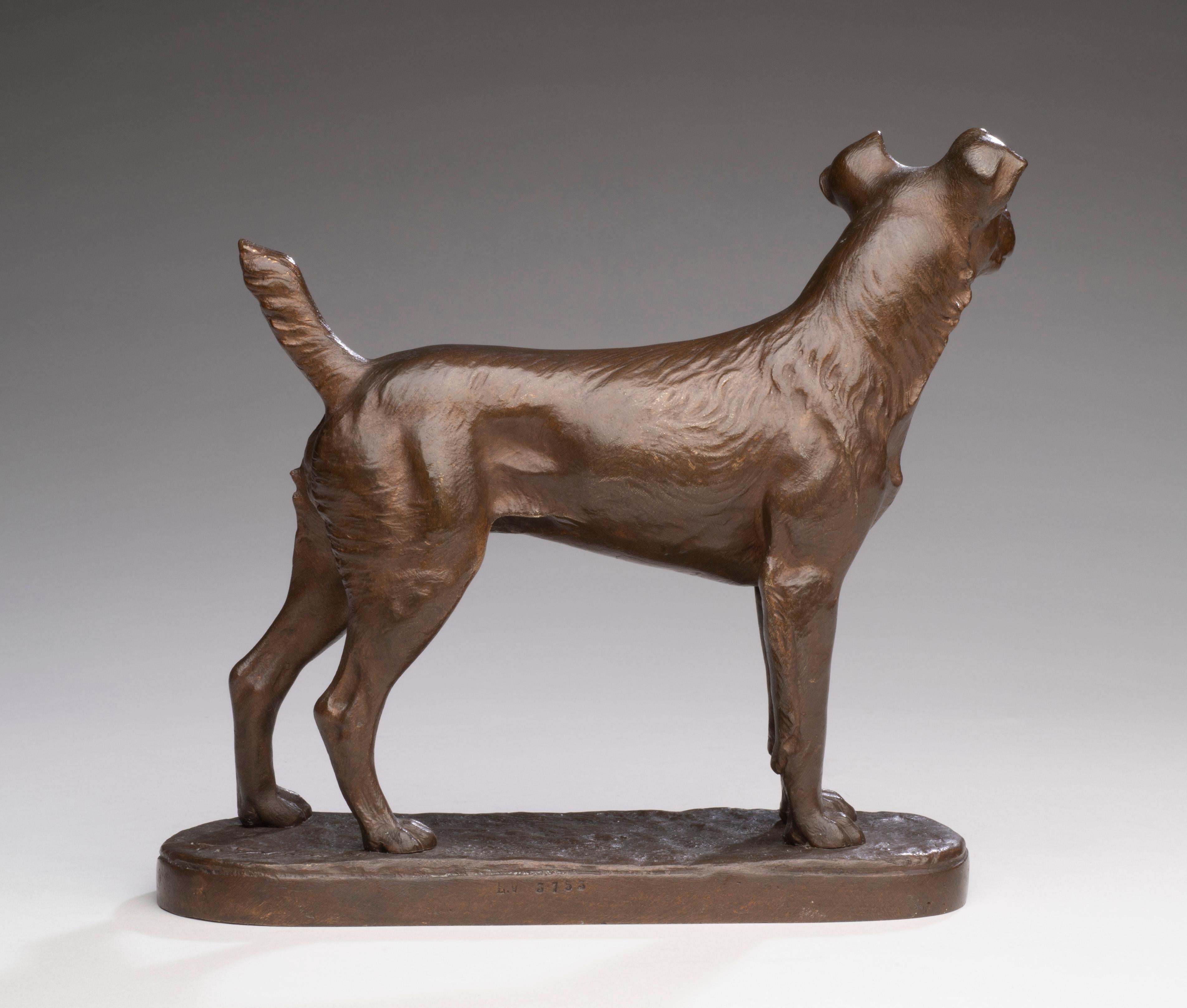 Antique Bronze Dog Portrait of a Terrier 
Pierre-Albert Laplanche (French, 1826-1873)
Signed in script to base 