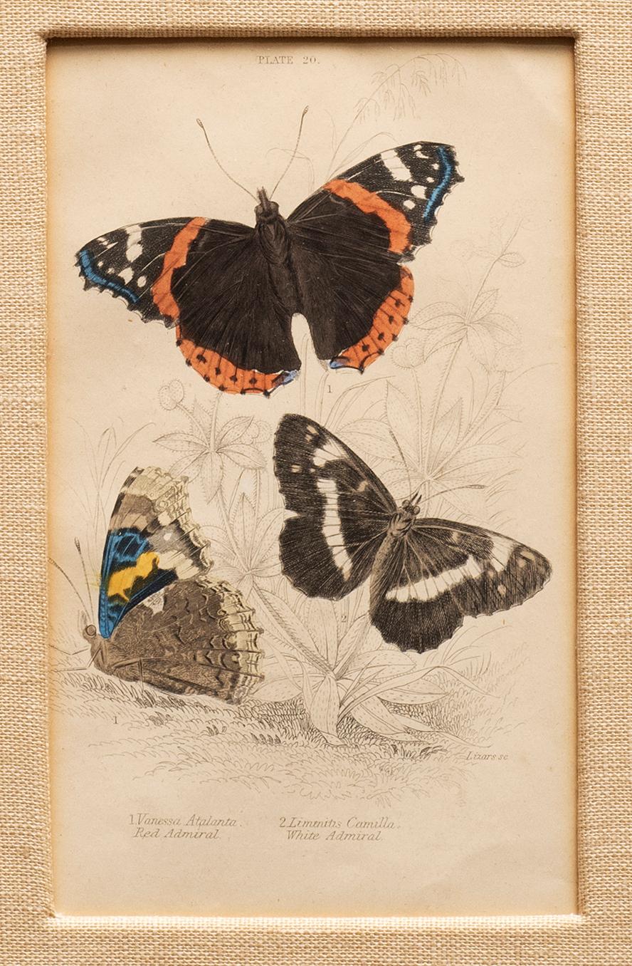 3 Hand-Colored Prints: Purple Emperor, Small Tortoise Shell, Red & White Admiral 1