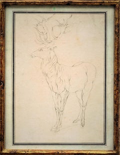 Old Masters Animal Drawings and Watercolors