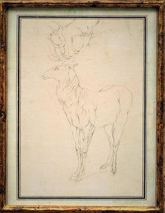 Drawing: "Stag Looking Left" by Johann Elias Ridinger (German 1698-1767)