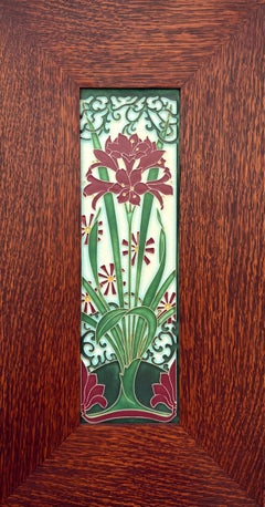 "Amaryllis rosso"