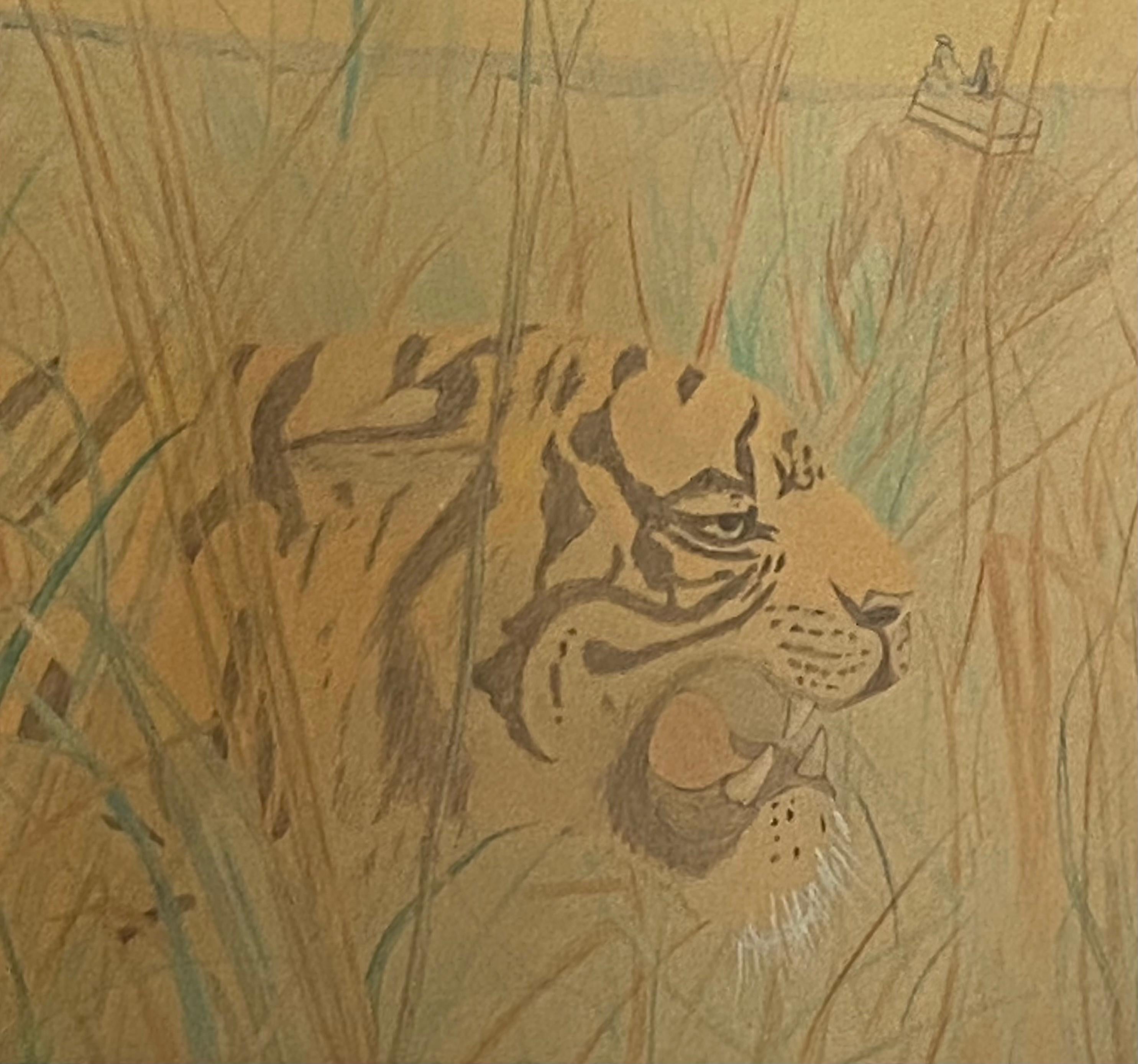H. A. Wilson Animal Art - “Tiger”