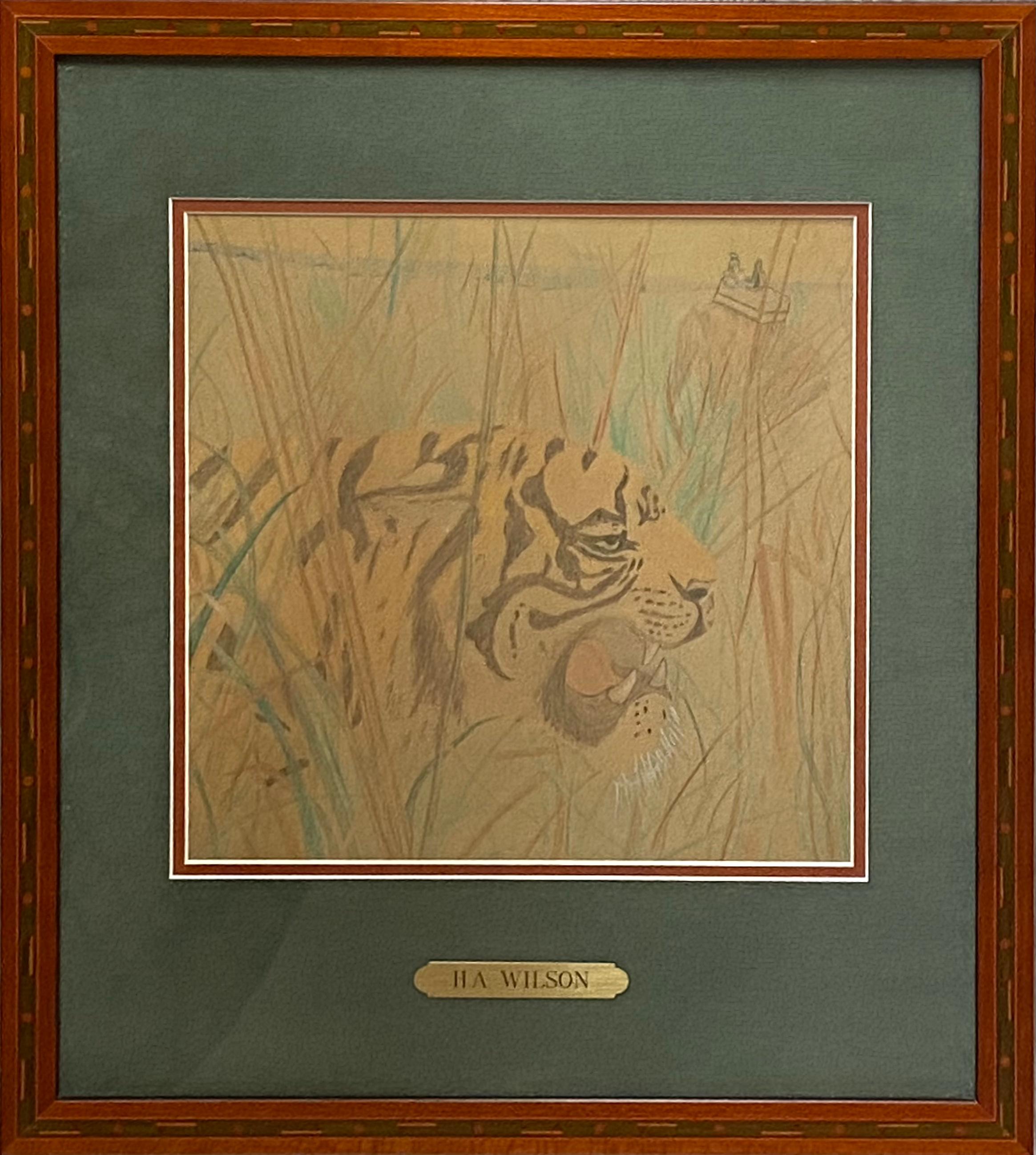 Original Buntstift auf Archivpapier eines Tigers in einer Dschungelumgebung, zugeschrieben H.A. Wilson. Keine sichtbare Unterschrift. Nicht außerhalb des Rahmens untersucht. Keine aktuellen Informationen über den Künstler. Ca. 1985. Der Zustand ist