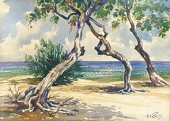 "Grotta del Dottore, Giamaica"
