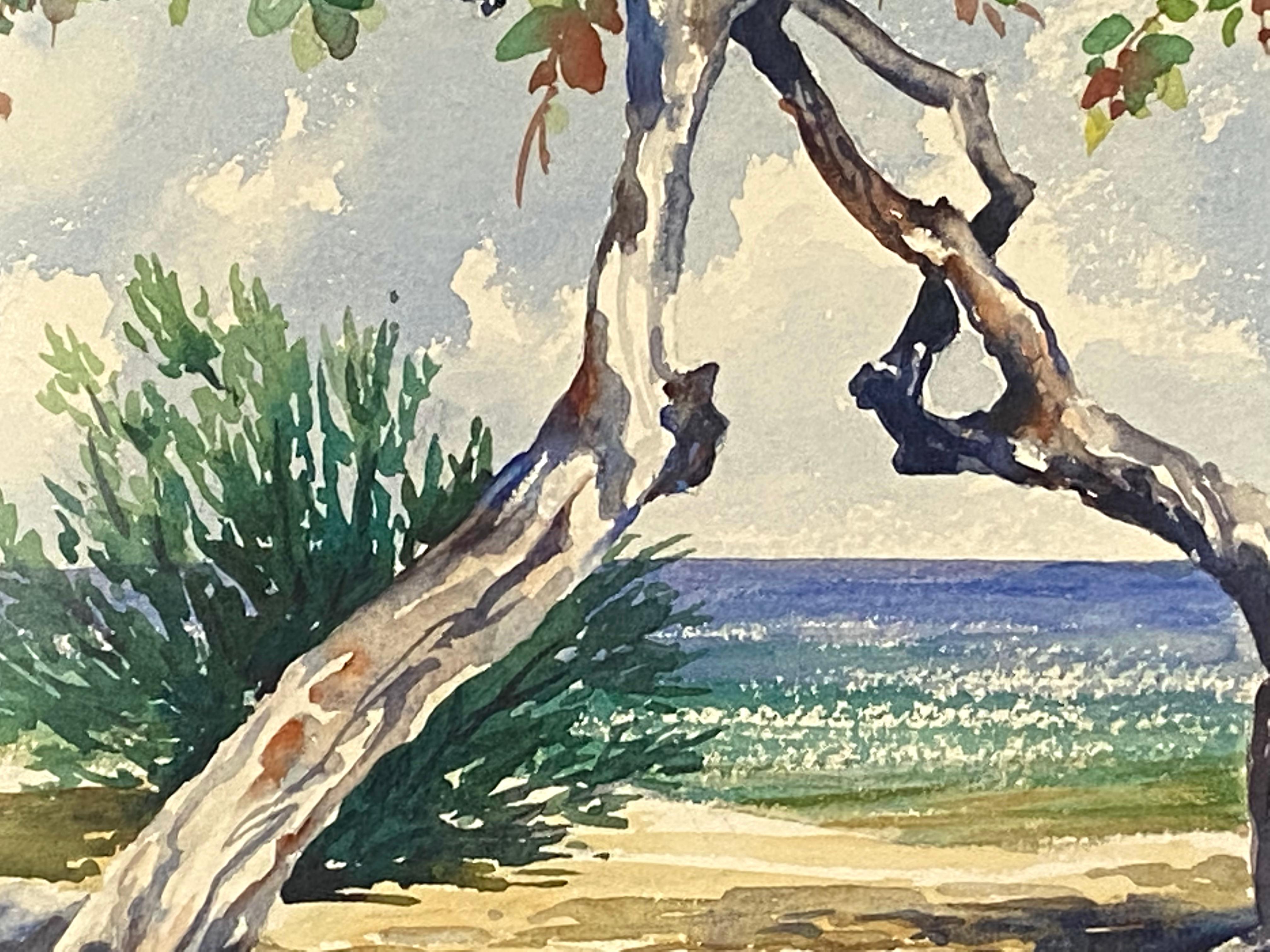 Original watercolor on archival paper of Doctor’s Cave in Jamaica by the New Zealand born artist, Margaret K. Rhodes. Signed lower right.  Titled in pencil in lower left margin “Shapes of Sea Grape, Doctor’s Cave”. Artist label verso.  Condition of