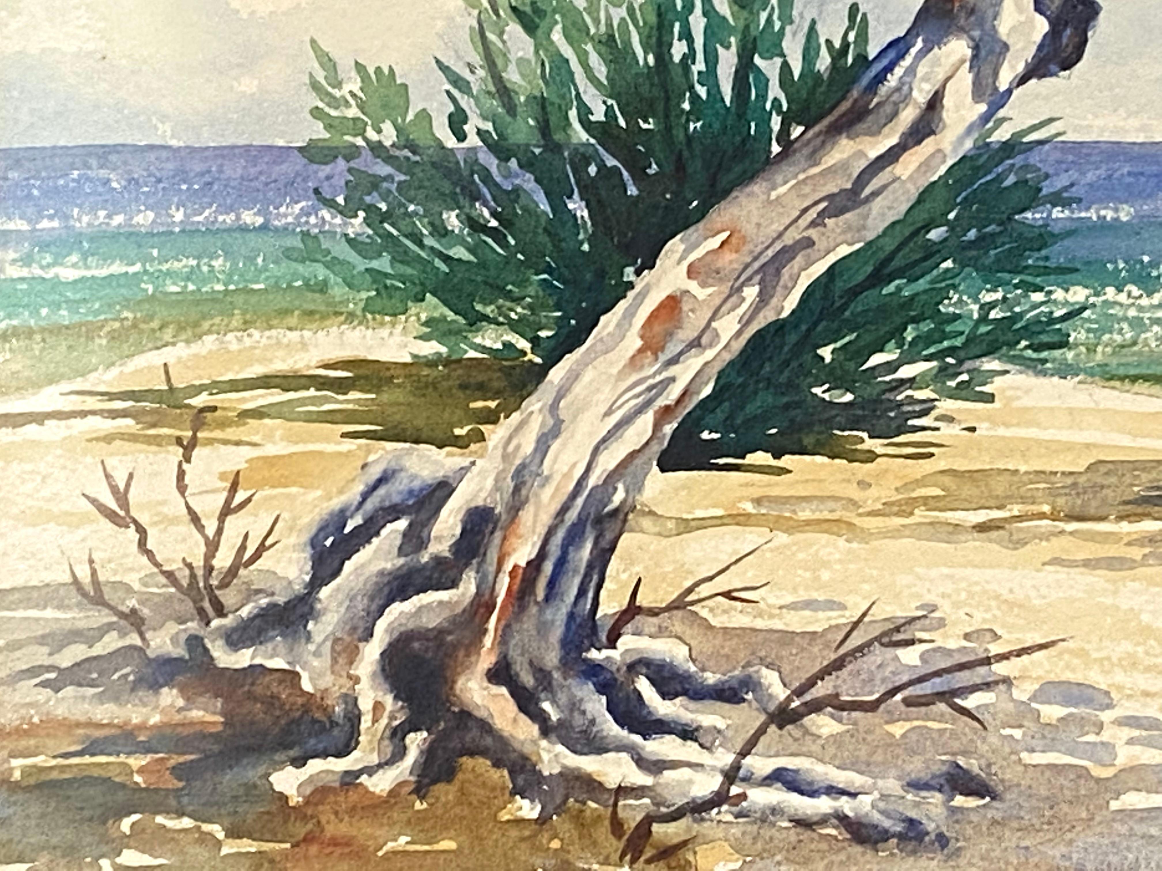 “Doctor’s Cave, Jamaica” 1
