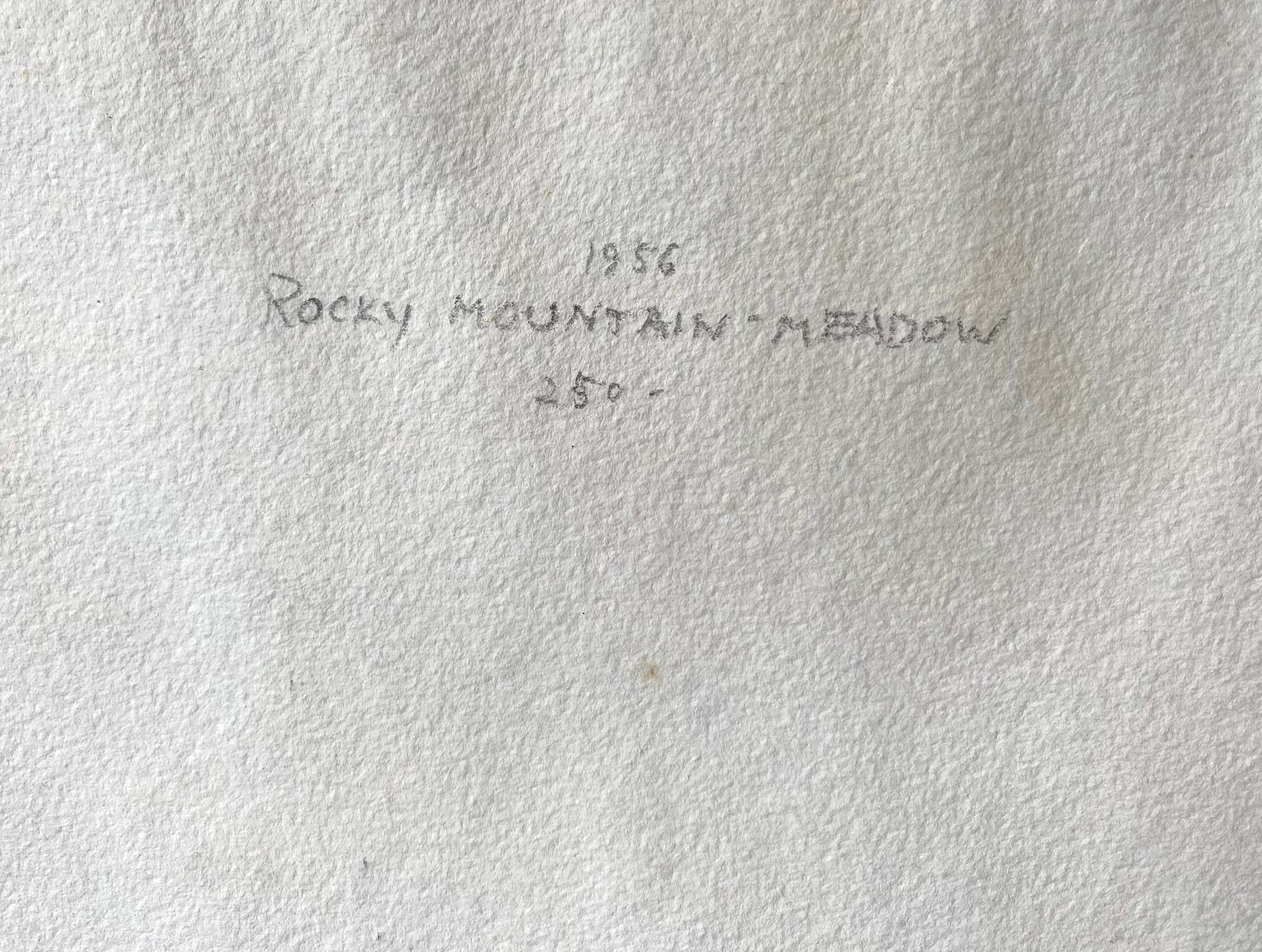 “Rocky Mountain Meadow” For Sale 7