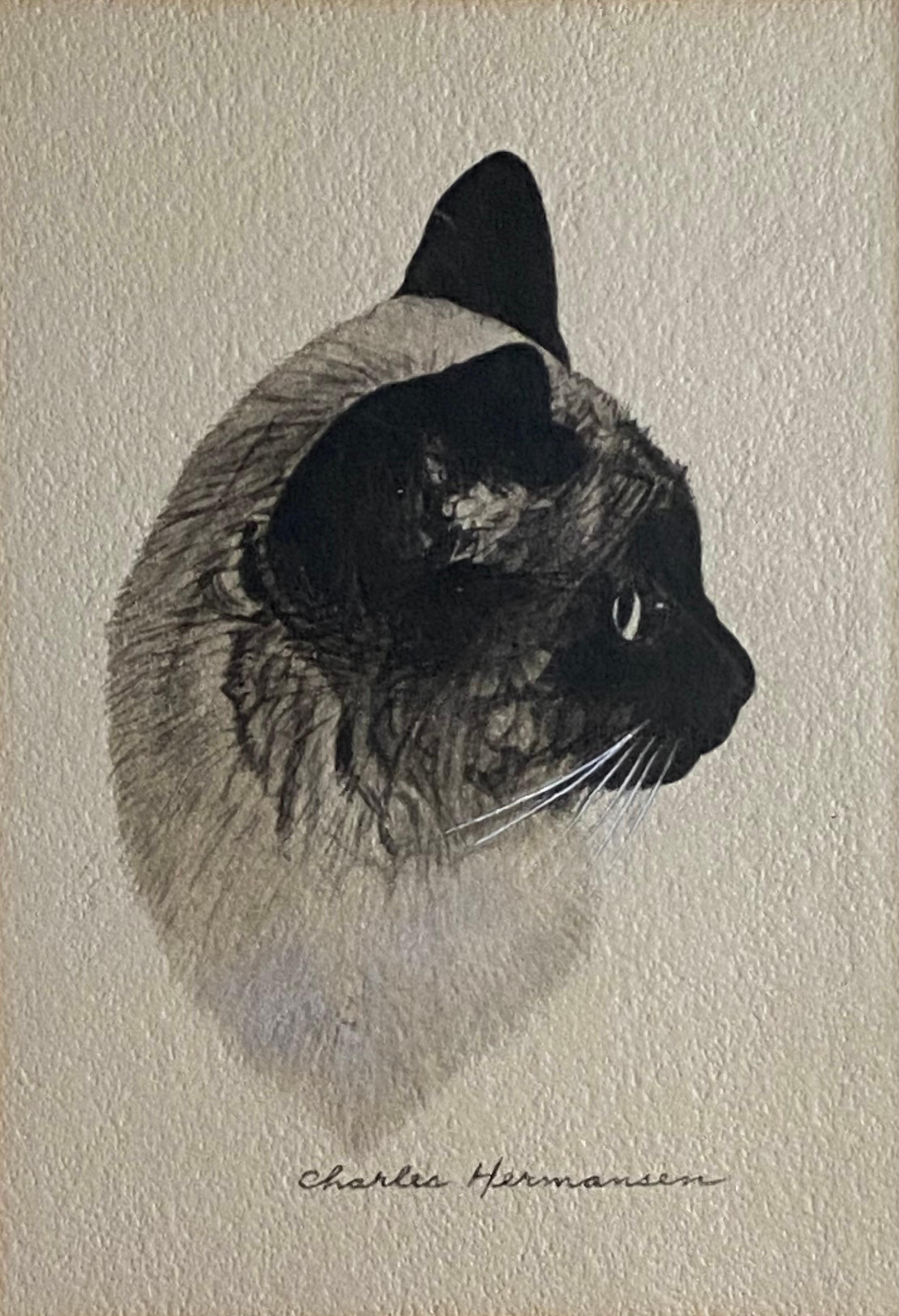 Charles Hermansen Animal Art – Katze im Profil