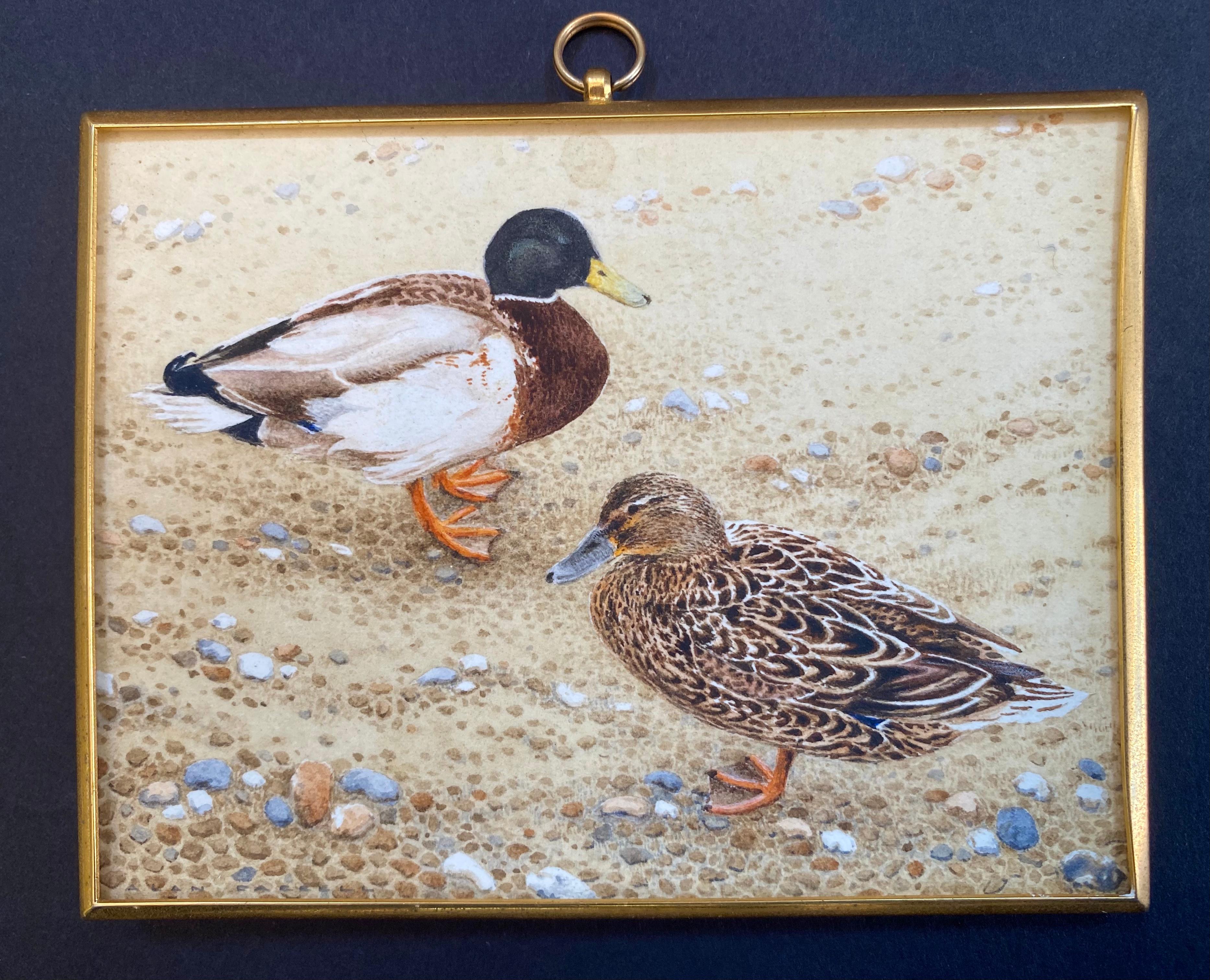 Miniature watercolor painting on arches paper of a pair of mallards done by the very well known miniature artist, Allan Farrell. Exhibited at the Royal Miniature Society exhibition in 2002. Label verso. Signed lower left. Condition: excellent.