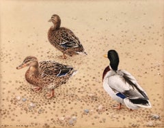 “Mallards at Salthouse”