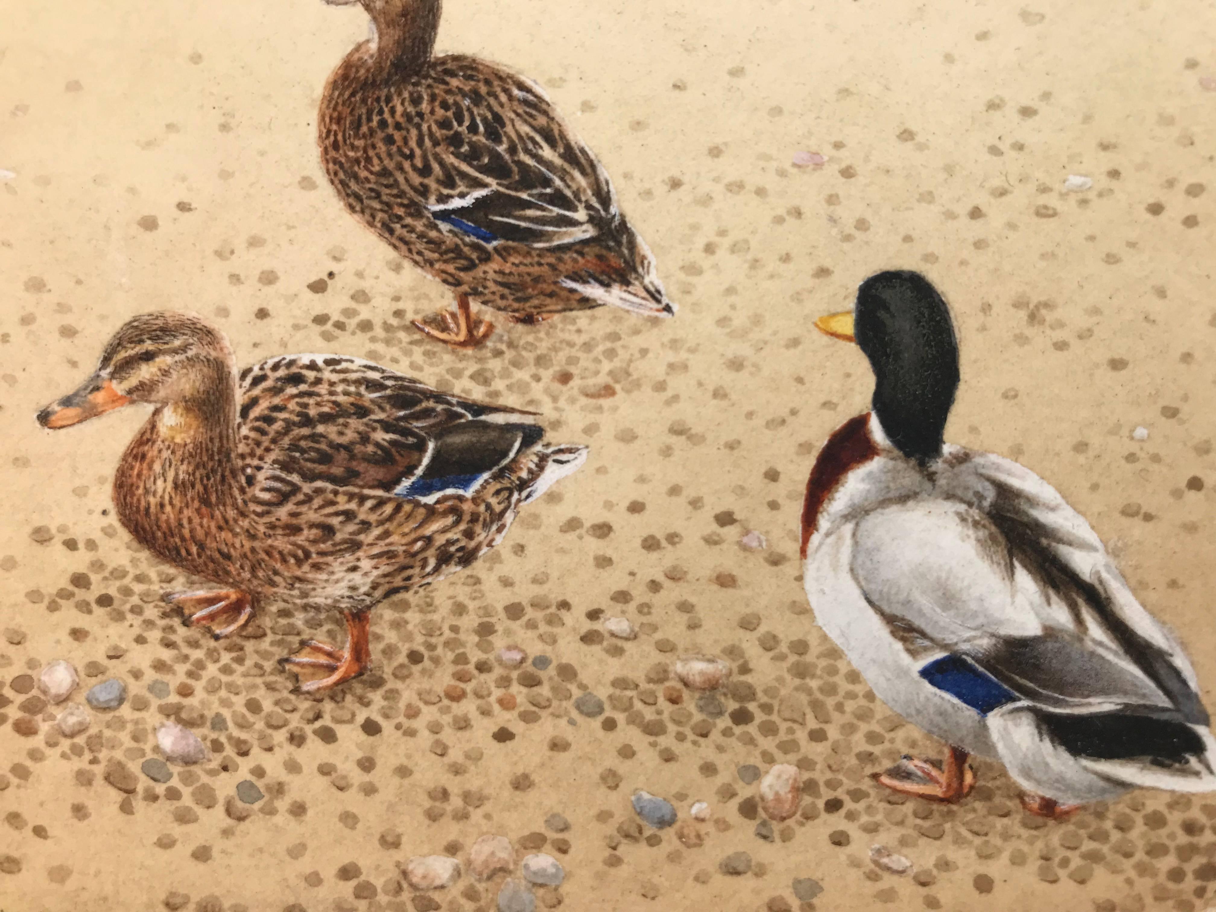 Mallards à Salthouse - Académique Art par Alan Farrell