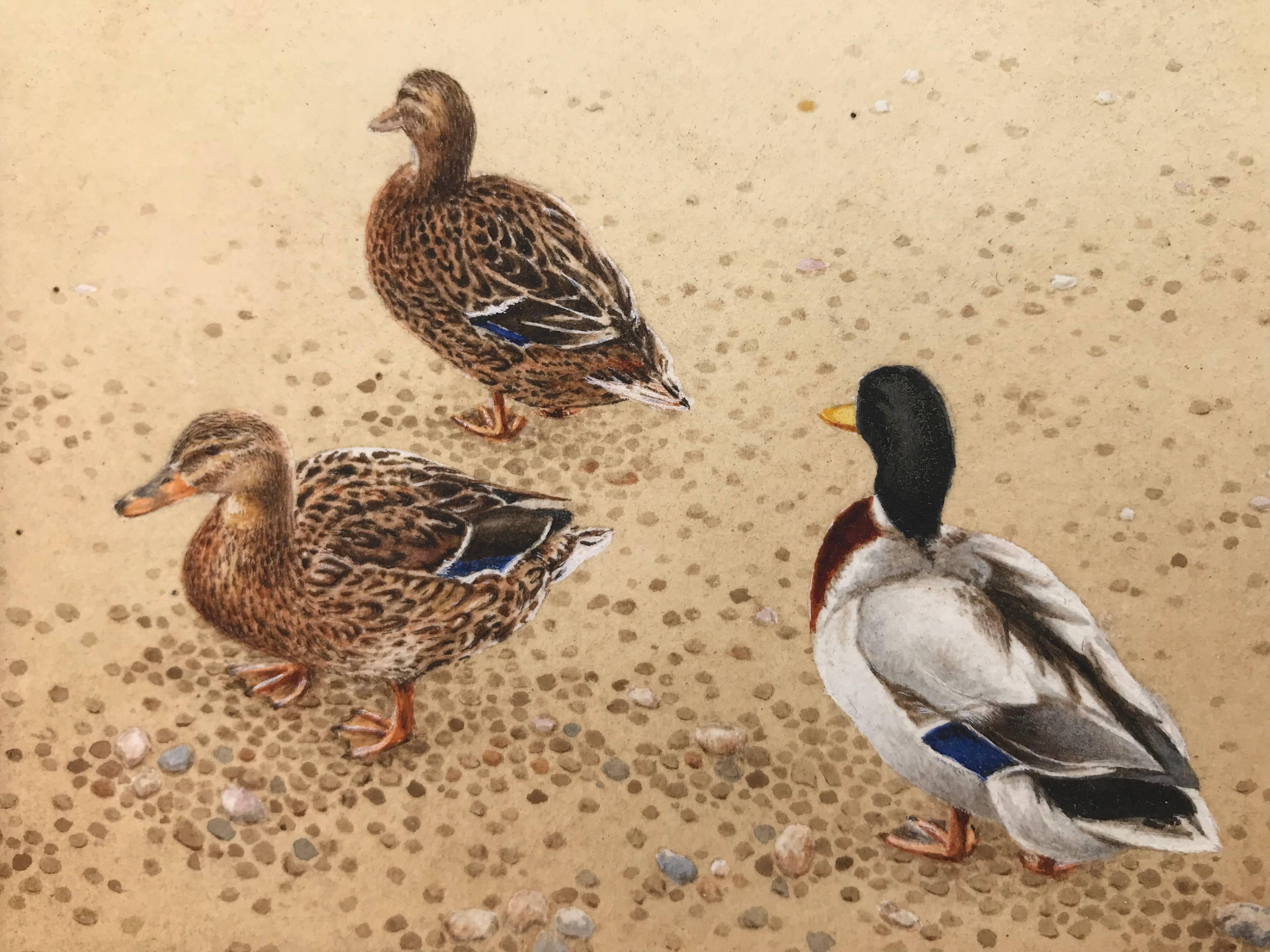“Mallards at Salthouse” For Sale 1