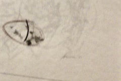 Morris Graves, Nido abbandonato, 1950, disegno