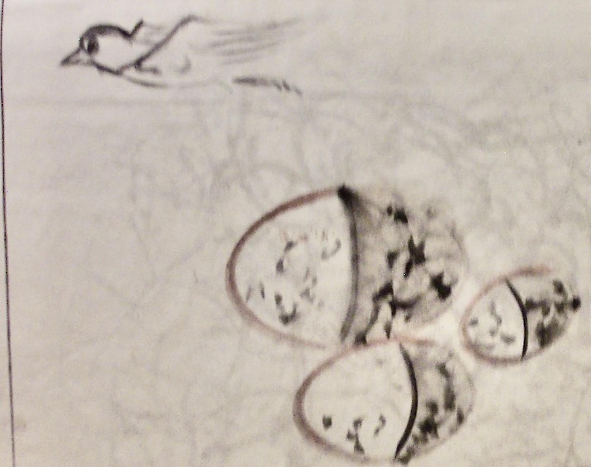 Morris Graves, Nido abandonado, 1950, dibujo en venta 2