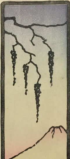 Wisteria (with Fuji, Japan)