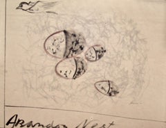 Morris Graves, Nido abbandonato, 1950, disegno