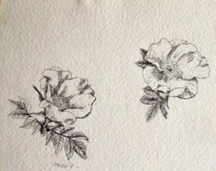 Vintage Blanche Grambs, Roses