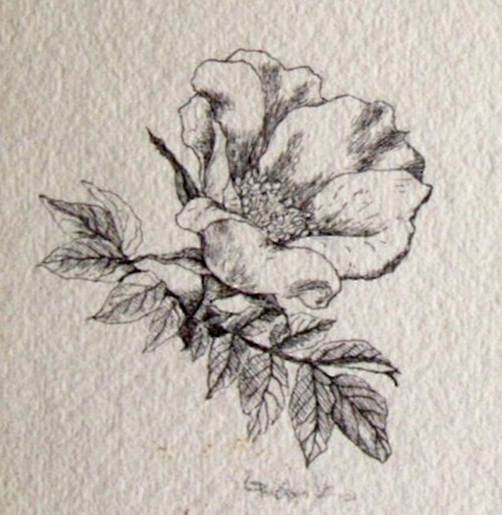 Blanche Grambs, Roses 1