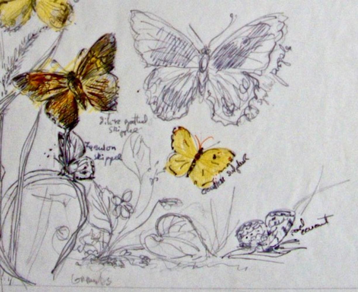 Blanche Grambs, Schmetterlinge 