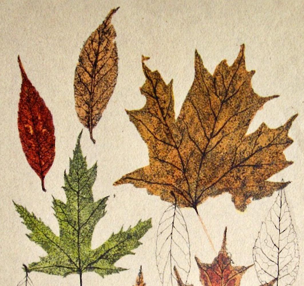 autumn leaves robert wood