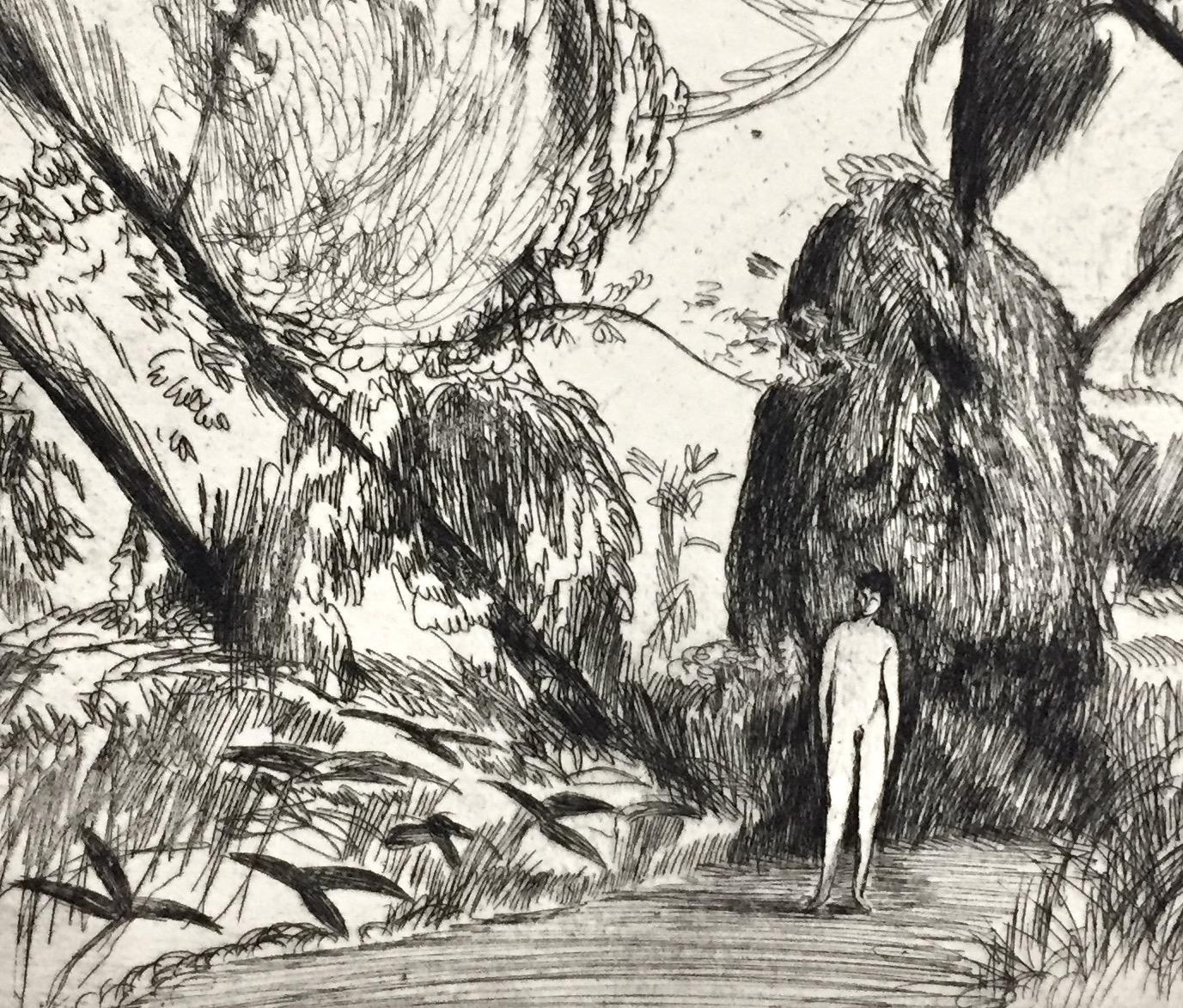 boy in the woods drawing