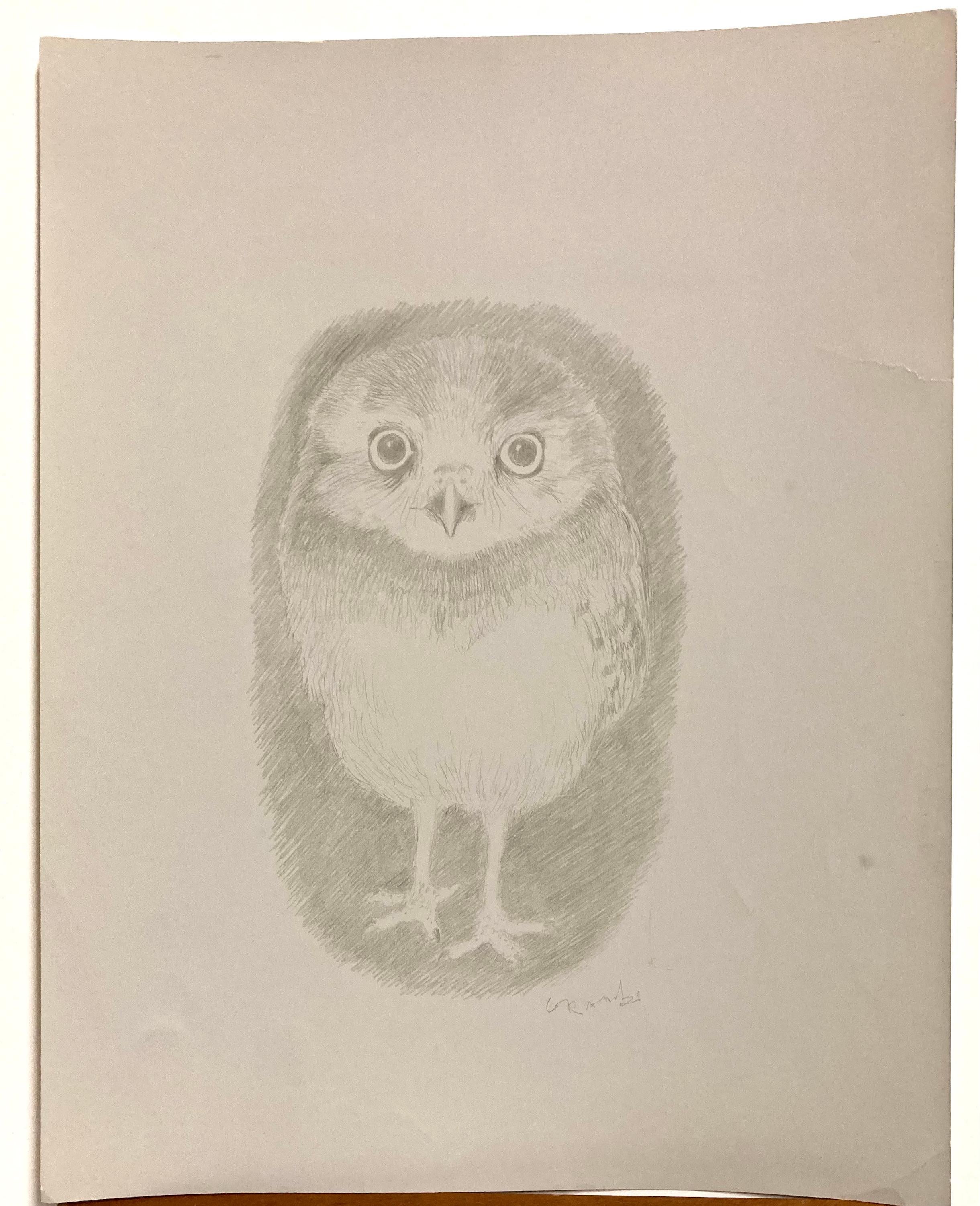 Blanche Grambs, deren Karriere bei der WPA begann, war eine äußerst geschickte Zeichnerin.

Ihre Vögel sind meisterhaft. Obwohl wir das Wort "Bleistift" für das Medium verwenden, handelt es sich in Wirklichkeit um eine Silberstiftzeichnung auf grau