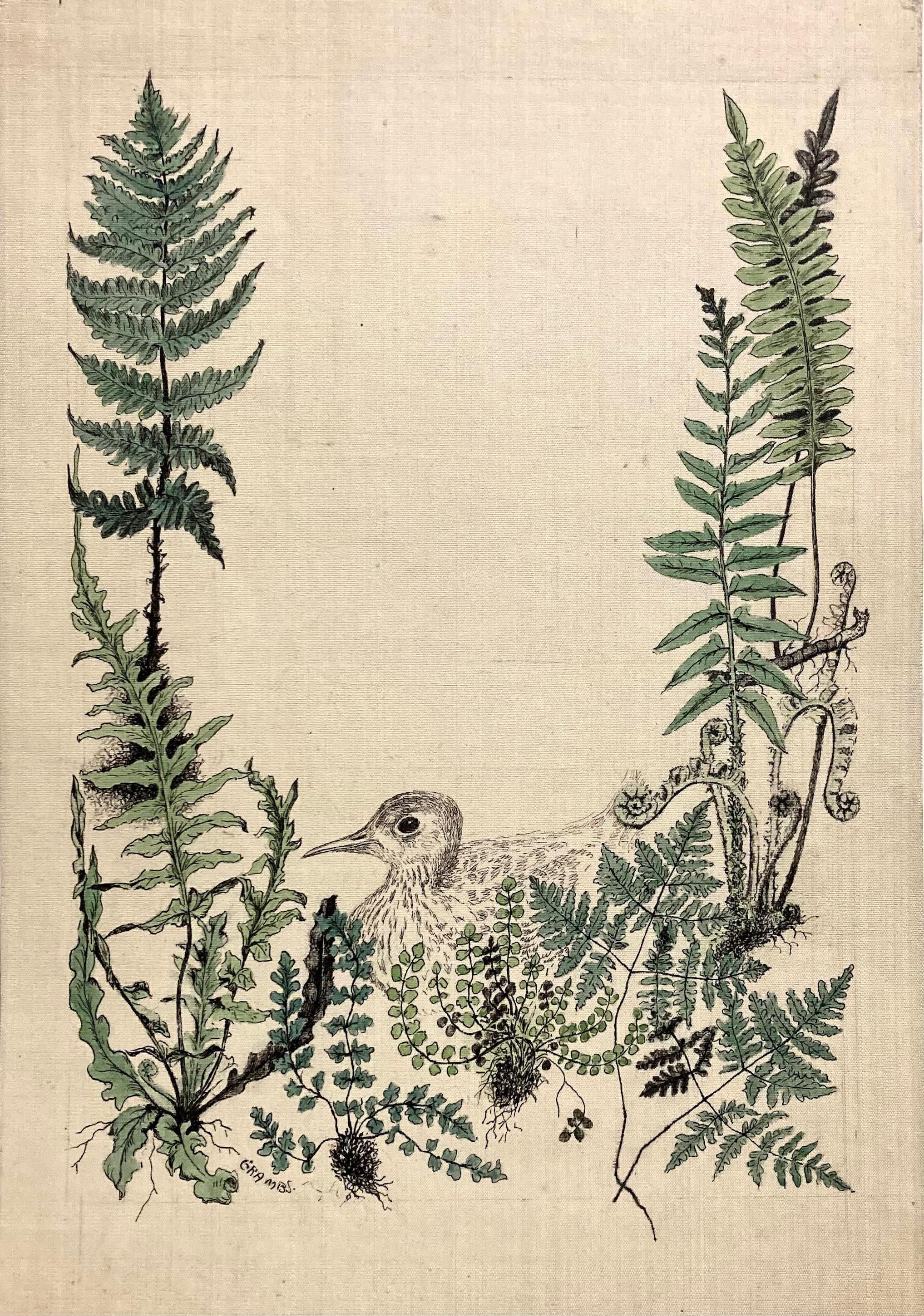 Blanche Grambs, (Young Bird with Ferns)