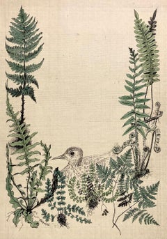 Blanche Grambs, (Young Bird with Ferns)