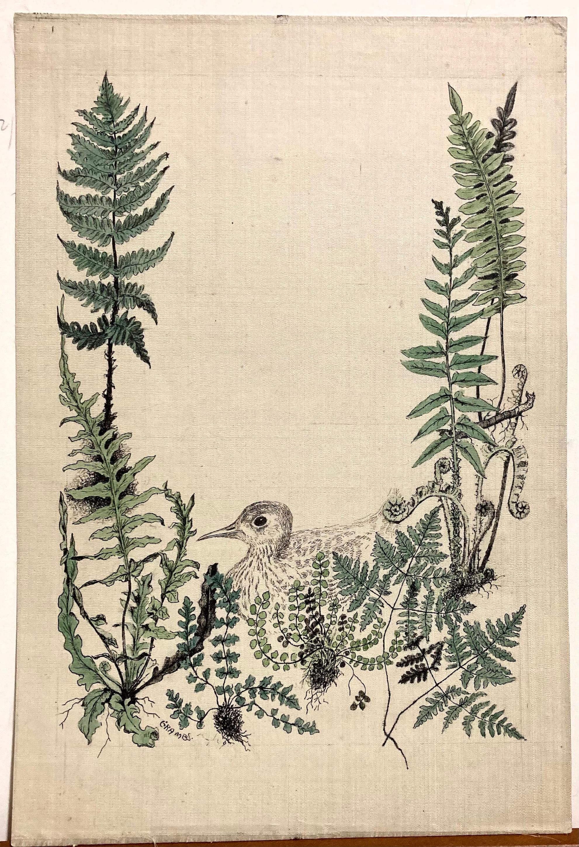 Blanche Grambs, whose career started with the WPA, was an extremely skilled draftsperson.

Her birds are masterful. This charming piece places the yooun bird at the lower part of the foliage, almost hidden in a protective environment. It takes a