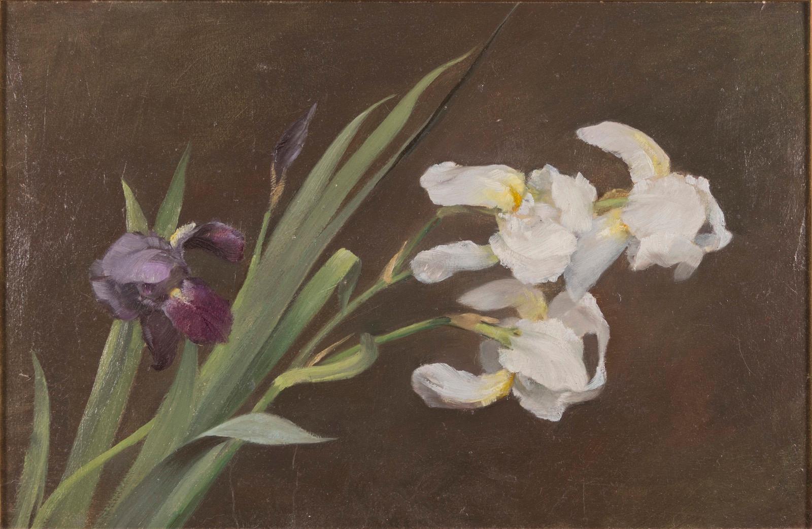 Fannie C. Burr Still-Life Painting - Purple and White Iris